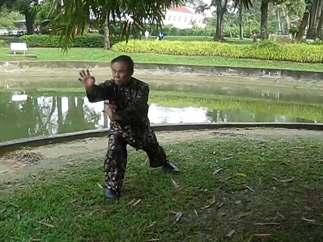 Shaolin 72 Chin-Na Techniques 2015